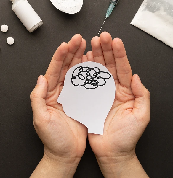 Brain model held in hands
