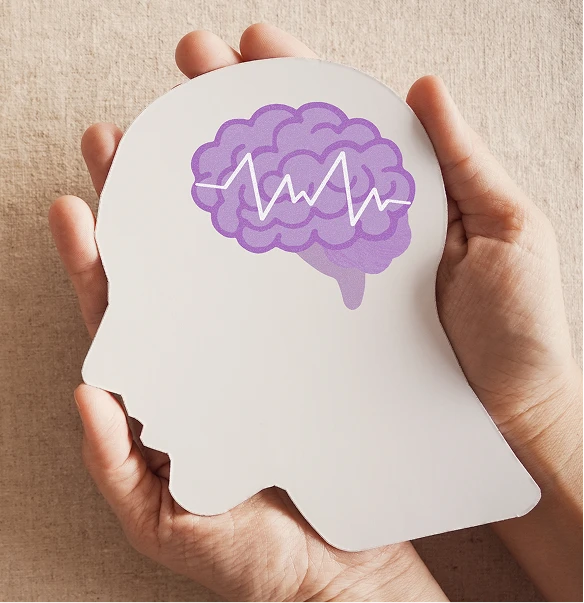 Brain model held in hands