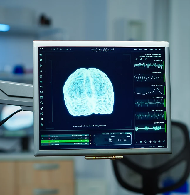 Examination of a brain